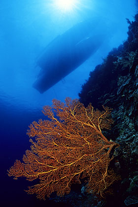 Taucherboote vor einer Steilwand - Bunaken - (c) Armin Trutnau