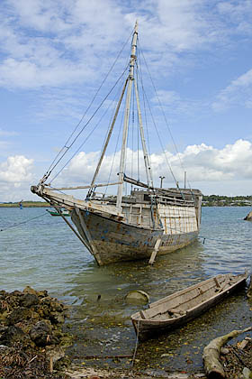 Indonesisches Segelschiff vor Tomea - Wakatobi - (c) Armin Trutnau